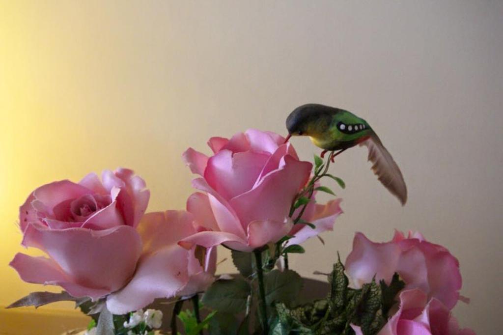 Lotus Suite Χουά Χιν Εξωτερικό φωτογραφία